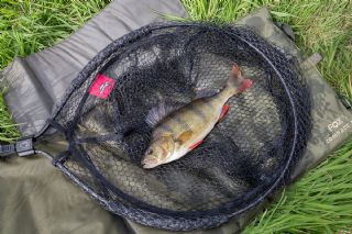 Fox Rage Street Fighter Carbon Landing Net 3.7m - 